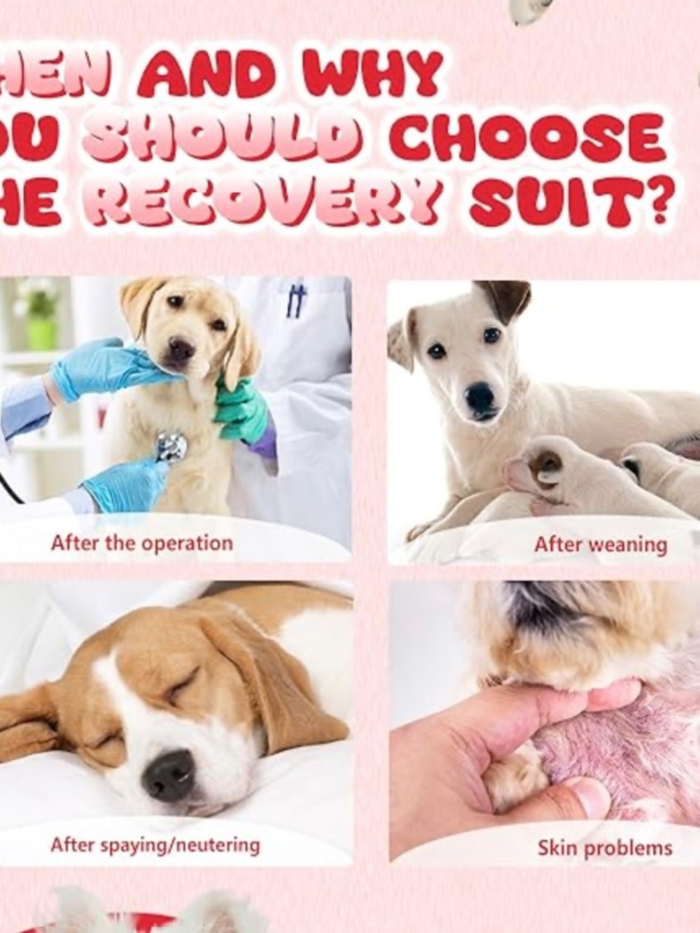 Dog Recovery Suit Small Cherry Print Surgery Onesie NWOT - Picture 10 of 16